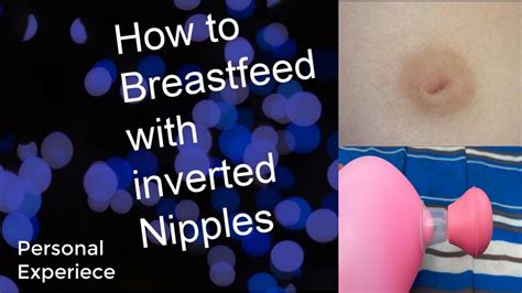 inverted nipples porn